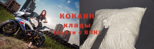 ГАЛЛЮЦИНОГЕННЫЕ ГРИБЫ Михайлов