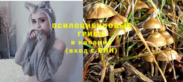 мдпв Михайловск