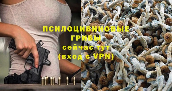 гидропоника Бабаево