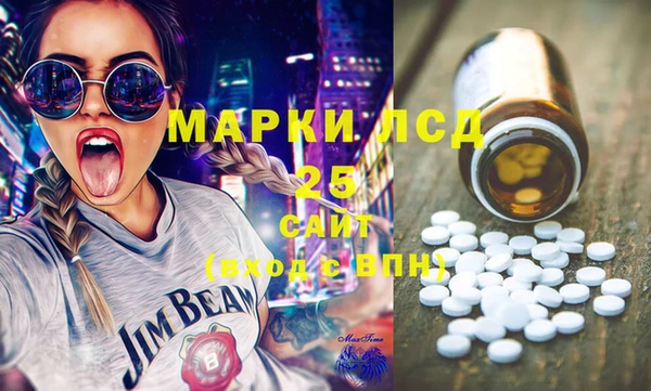 ГАЛЛЮЦИНОГЕННЫЕ ГРИБЫ Михайлов