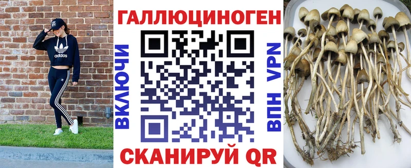 Галлюциногенные грибы прущие грибы  Бор 