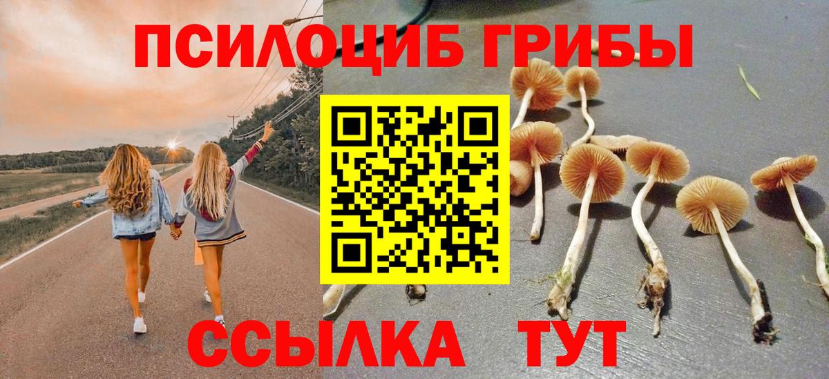 Галлюциногенные грибы GOLDEN TEACHER Бор